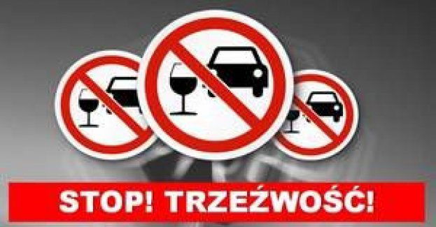 Kierowała autem mając prawie 2 promile alkoholu w organizmie, jej podróż zakończyli małkińscy policjanci