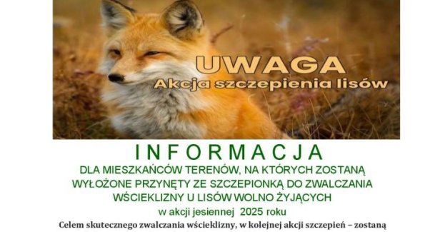 Jesienna akcja szczepienia lisów