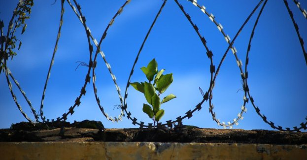 Więźniowie z Lublina zaczną studia