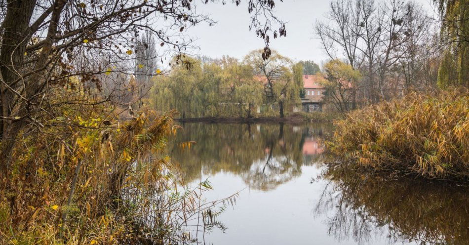 zdjęcie: Staw Kozubek coraz bliżej! Miasto Katowice otworzyło oferty na rewitalizację tego miejsca / fot. nadesłane