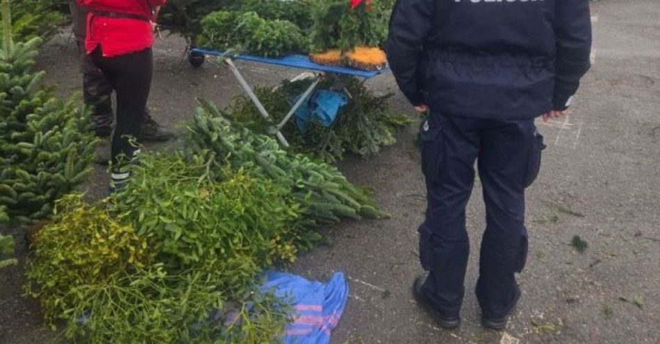 zdjęcie: Dzielnicowi kontrolują sprzedaż choinek i karpi w Ostrowcu / fot. KPP Ostrowiec Świętokrzyski dzielnicowy podczas działań