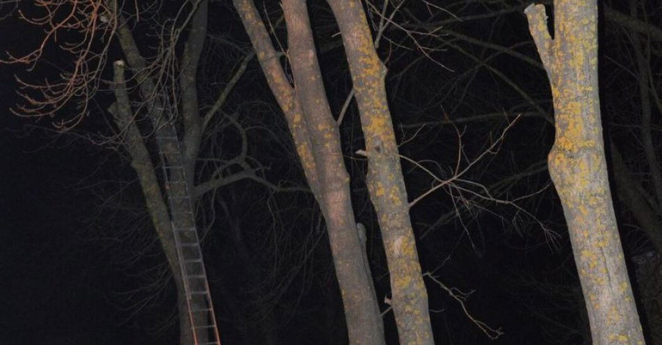 zdjęcie: Śmiertelny upadek z drabiny przy dworcu w Rejowcu Fabrycznym / fot. KMP Chełm