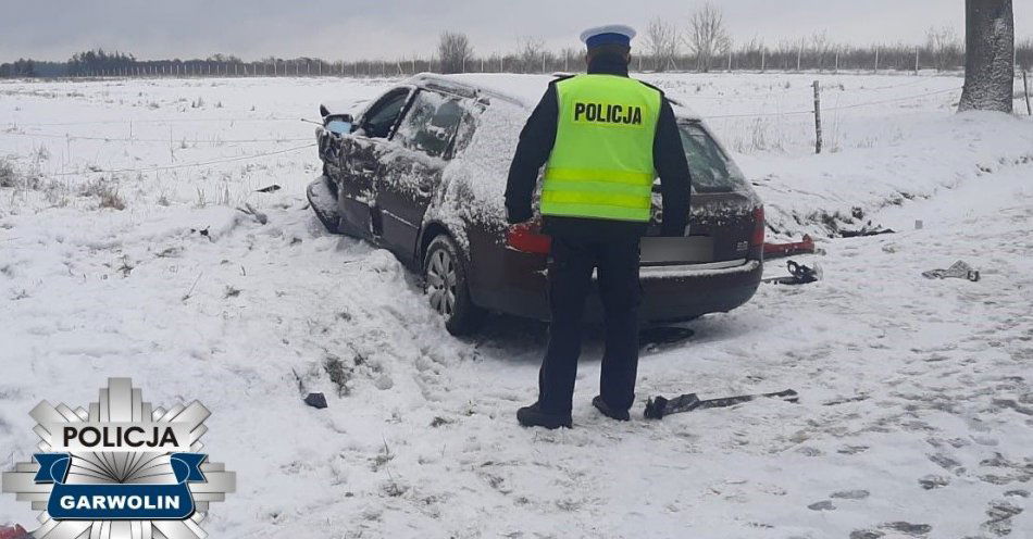 zdjęcie: Policjanci wyjaśniają okoliczności śmiertelnego wypadku w Godziszu / fot. KPP w Garwolinie