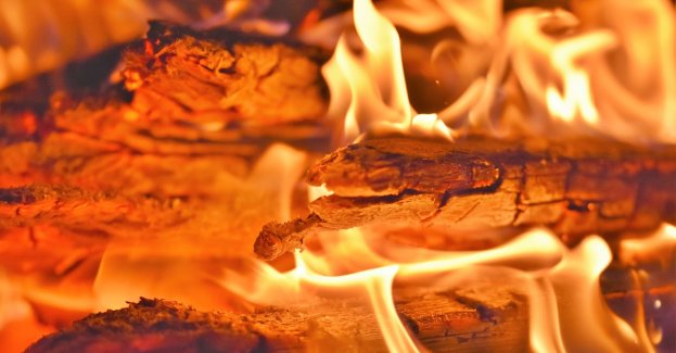 Odpowie za podpalenia