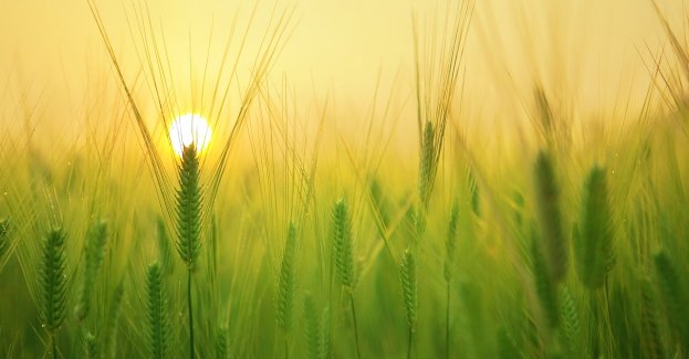 Protest rolników na Europejskim Kongresie Gospodarczym w Katowicach