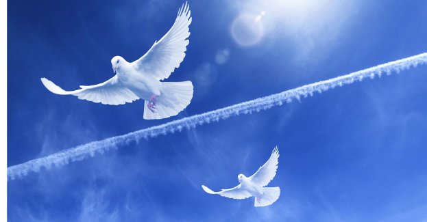 Łyk Wolności przed biurem Europosłanki Róży Thun