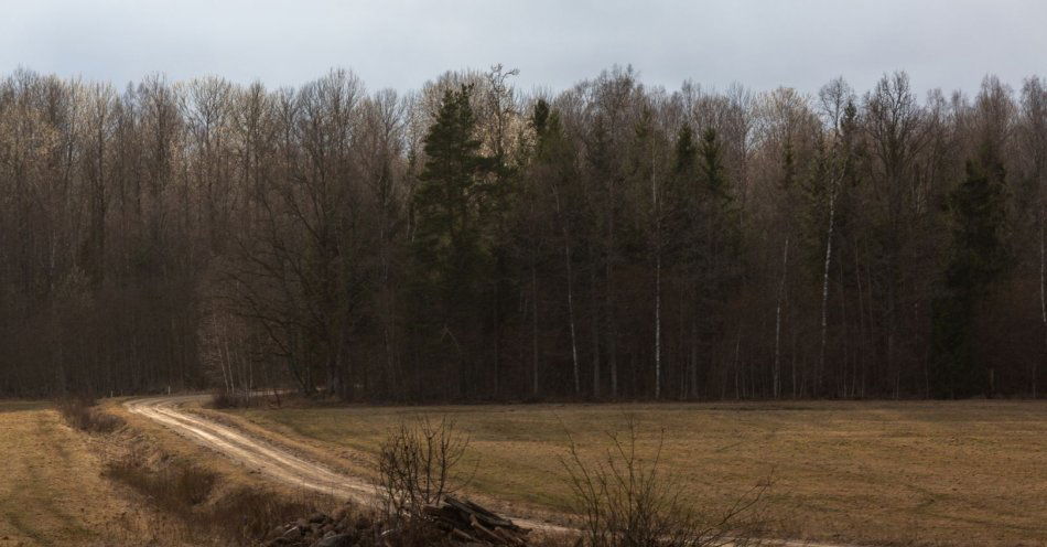 zdjęcie: Prokuraturze udało się ustalić tożsamość migranta zmarłego przy granicy z Białorusią / v15564017