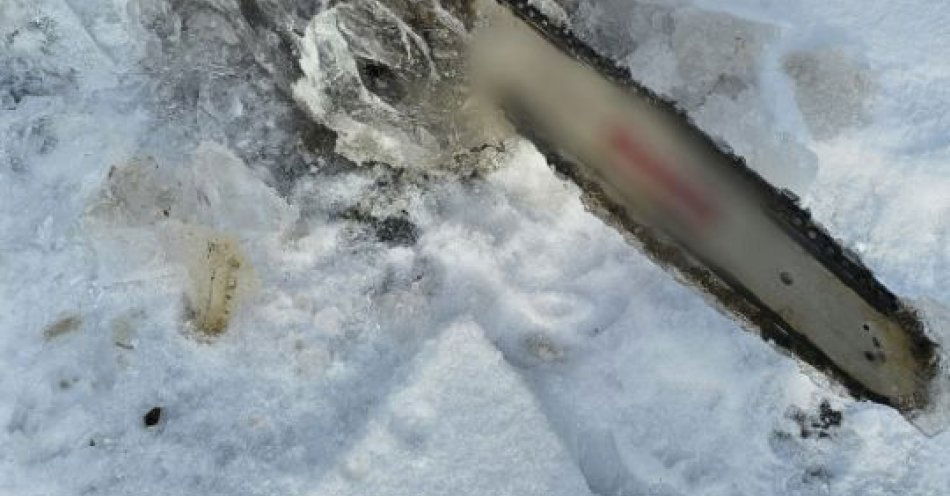 zdjęcie: Zatrzymany po włamaniu do marketu w Jabłonce / fot. KMP w Nowym Targu