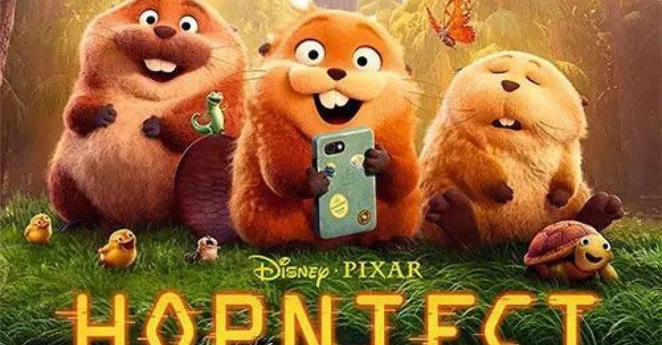 zdjęcie: BAJKA / kupbilecik24.pl / BAJKA