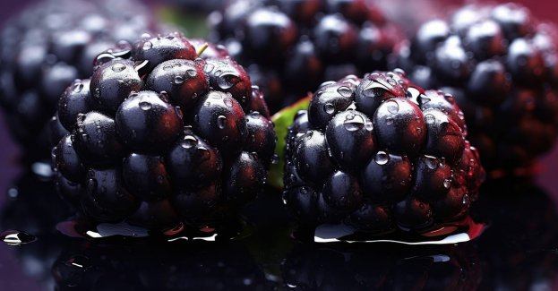 Ponad 20 ton jeżyn z Serbii zatrzymanych na granicy