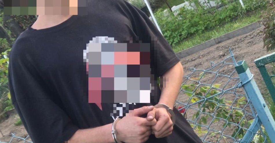 zdjęcie: Sprawca włamań do altanek ogrodowych zatrzymany przez świdnickich policjantów / fot. KPP w Świdnicy