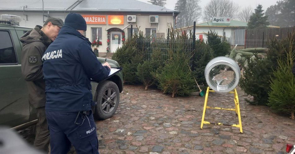 zdjęcie: Akcja Choinka: policja i straż leśna walczą z nielegalną wycinką / fot. KPP w Węgorzewie