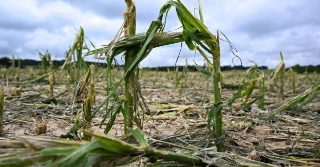 Kule gradu zniszczyły domy i uprawy, mieszkańcy szacują straty i czekają na pomoc