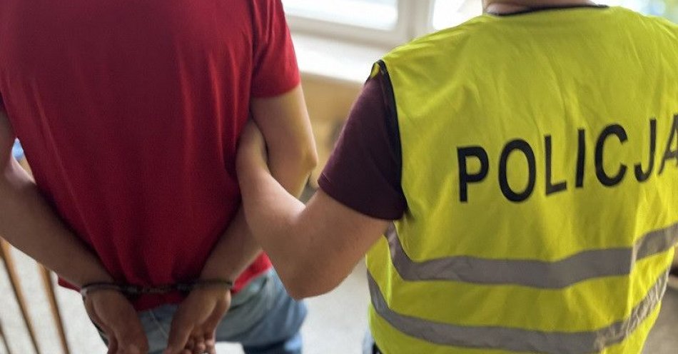 zdjęcie: Zatrzymany recydywista ukradł 11 butelek whisky / fot. KPP w Tczewie