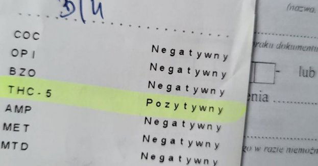 Jechał mimo cofniętych uprawnień po narkotykach i z narkotykami. Został  zatrzymany przez szczecińską drogówkę