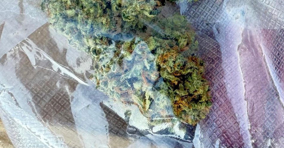 zdjęcie: Podejrzane zachowanie, szybka reakcja patrolu i metaamfetamina w torbie. Skuteczna interwencja legnickich wywiadowców / fot. KMP w Legnicy