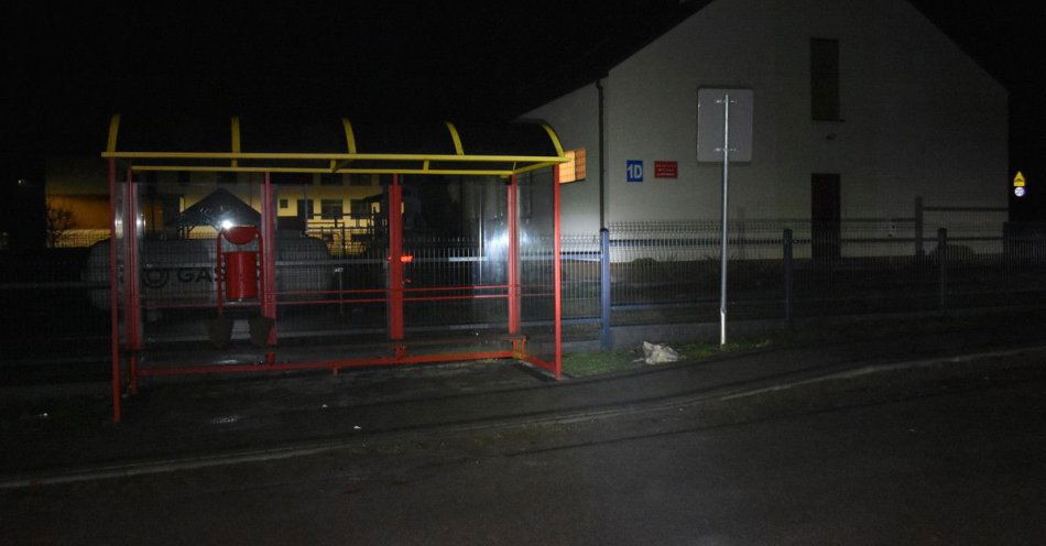 zdjęcie: Zniszczyli znaki i kosz na przystanku w Zdziarach / fot. KPP w Nisku fot.: KPP w Nisku