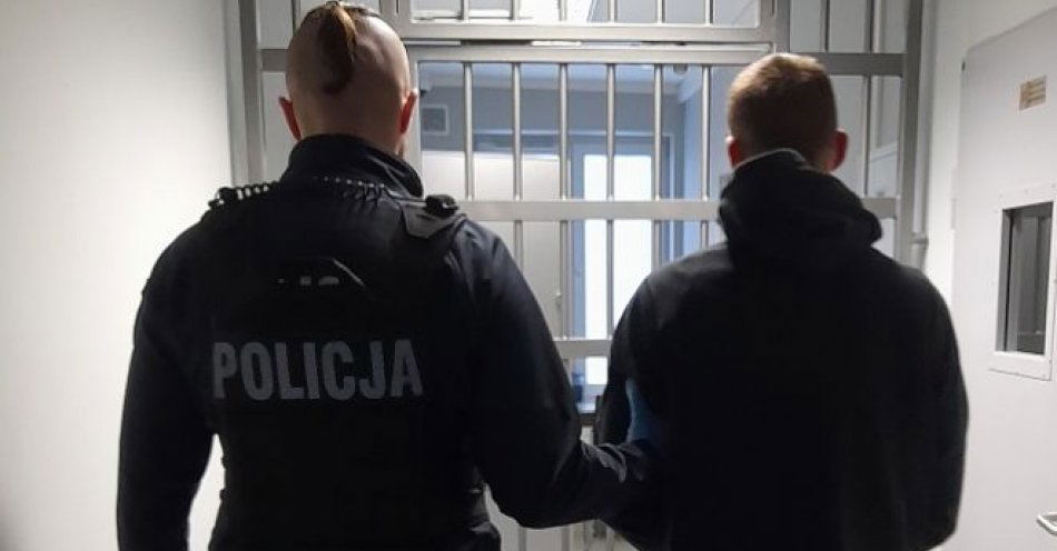 zdjęcie: Posiadał przy sobie narkotyki – został zatrzymany przez policjantów / fot. KPP w Pruszczu Gdańskim