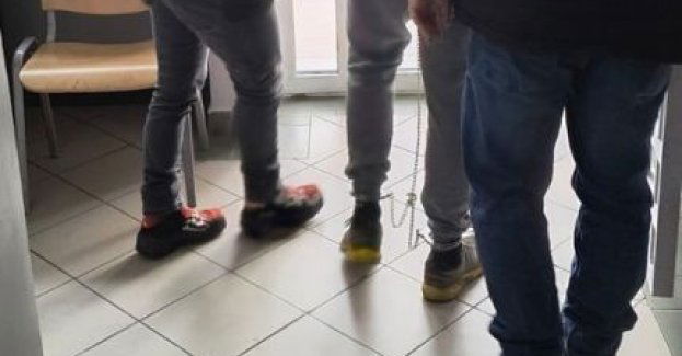 Zatrzymania za uprawę konopi i duże ilości narkotyków