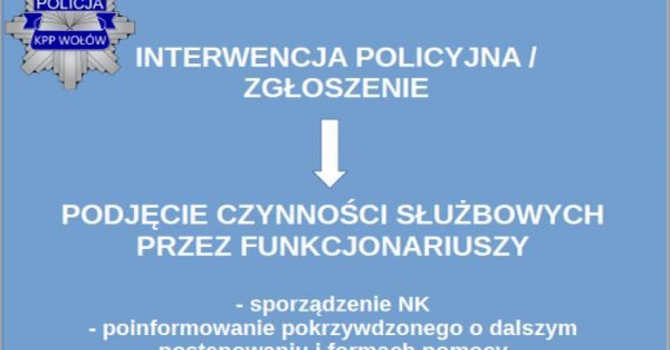 zdjęcie: Przemoc w rodzinie / fot. KPP w Wołowie