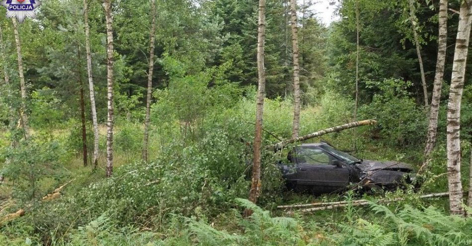 zdjęcie: Kierująca Audi uderzyła w drzewo / fot. KMP Zamość