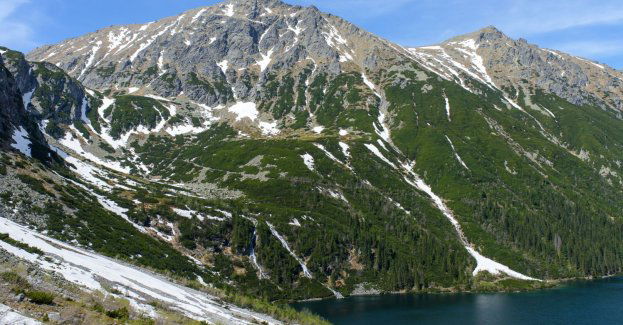 Śnieg i oblodzenia w partiach szczytowych Tatr; trwa rykowisko jeleni