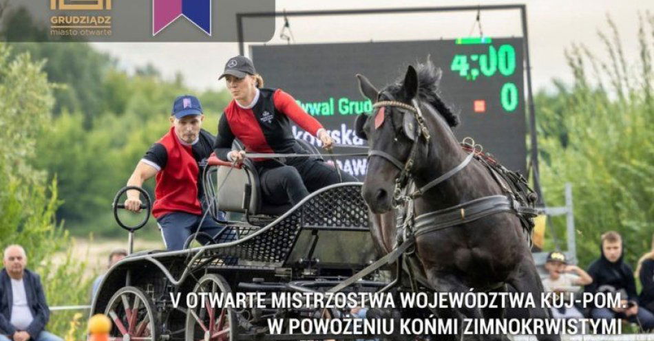zdjęcie: V Otwarte Mistrzostwa Województwa Kujawsko-Pomorskiego w Powożeniu Końmi Zimnokrwistymi / fot. UM Grudziądz