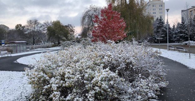 Tej nocy w całej gminie spadł pierwszy tej zimy śnieg