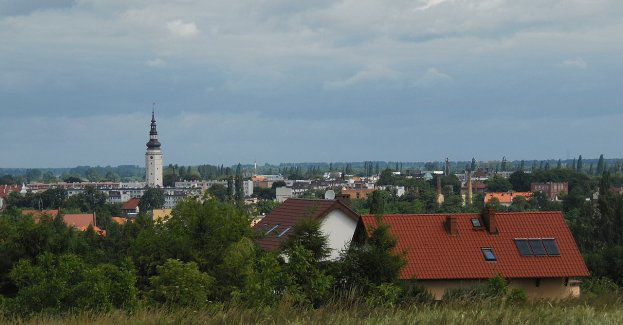 W krainie Wzgórz Strzelińskich