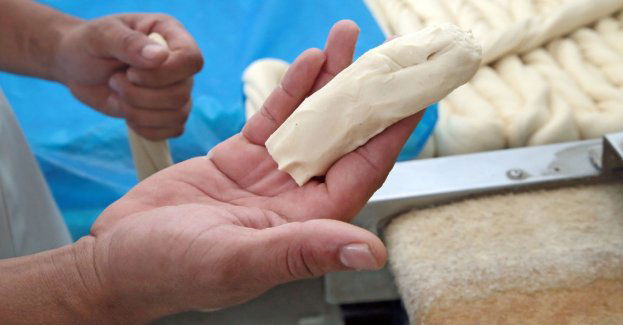 SG zatrzymała 17 cudzoziemców przebywających nielegalnie w Polsce