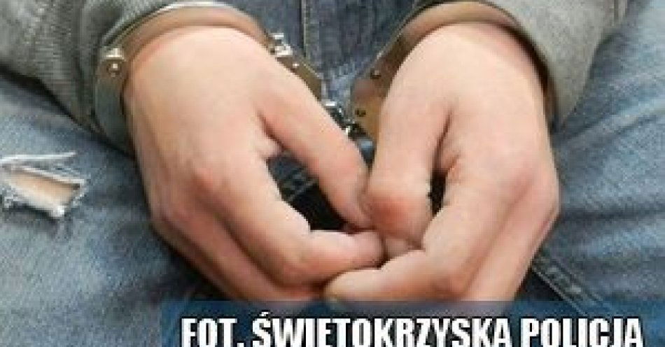 zdjęcie: Odpowie za posiadanie środków zakazanych / fot. KPP Końskie