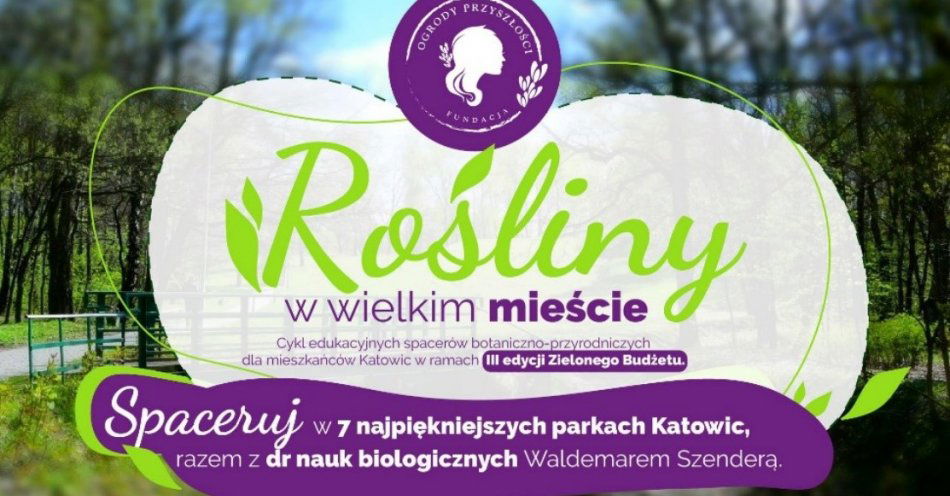 zdjęcie: Rośliny w Wielkim mieście - spacery botaniczno–przyrodnicze / fot. nadesłane