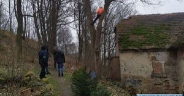 Poszukiwany uciekł na dach, a następnie na drzewo