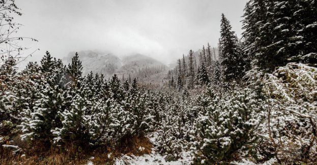 Mocne ochłodzenie w Tatrach - w weekend spadnie śnieg
