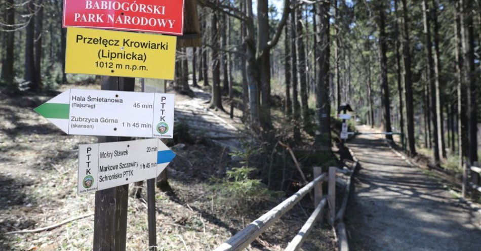 zdjęcie: Turyści odwiedzają Babią Górę przez cały rok i przez całą dobę / fot. PAP