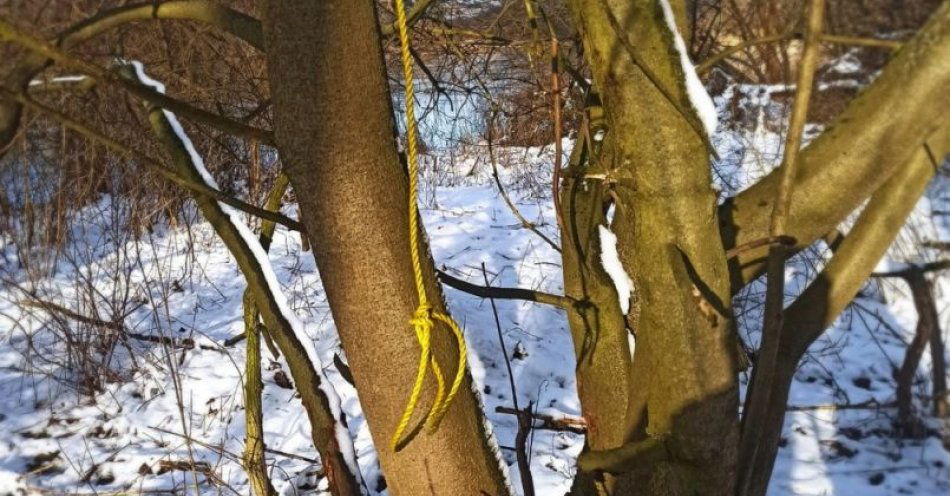 zdjęcie: Szczęśliwy finał poszukiwań 40-latka / fot. KPP w Białobrzegach