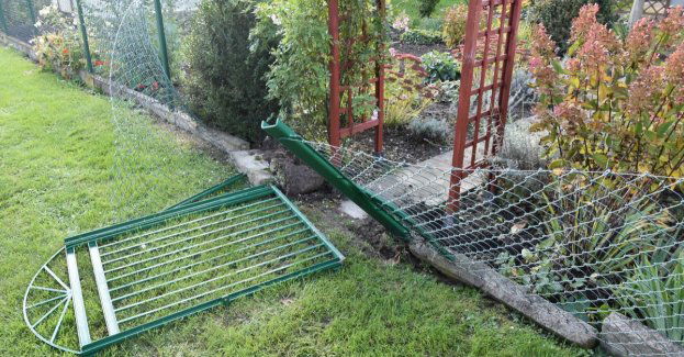 Odpowiedzą za włamania do altanek