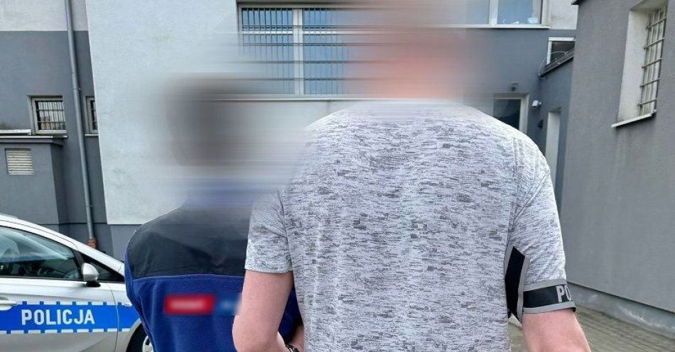 zdjęcie: Pobił 21-latka i zdemolował jego samochód - został zatrzymany w Gdańsku / fot. KPP w Tczewie