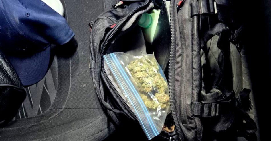 zdjęcie: Mężczyzna aresztowany po zabezpieczeniu ponad 129 gramów narkotyków / fot. KMP w Piotrkowie Trybunalskim