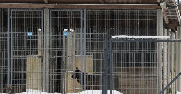 Wicewojewoda ws. schroniska w Sobolewie: czuję, że zostałem wprowadzony w błąd