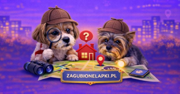 Zaginął pies lub kot? Powstała platforma Zagubione Łapki, która pomoże je odnaleźć