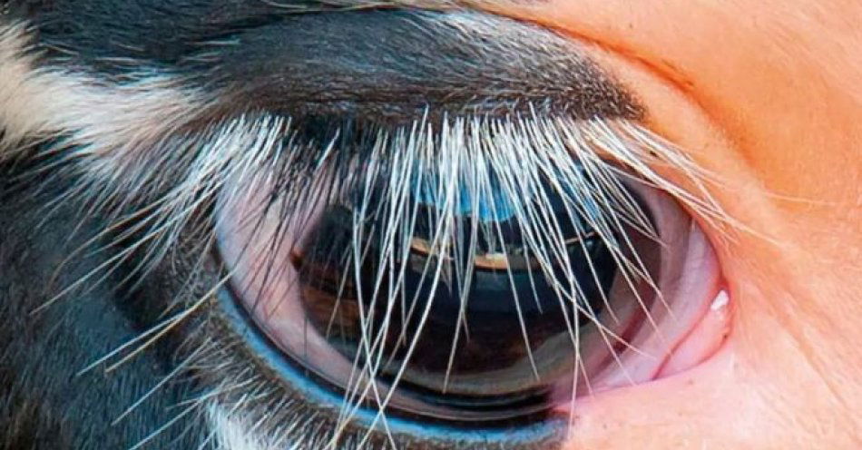 zdjęcie: Reż. Agnieszka Jakimiak / kupbilecik24.pl / Reż. Agnieszka Jakimiak