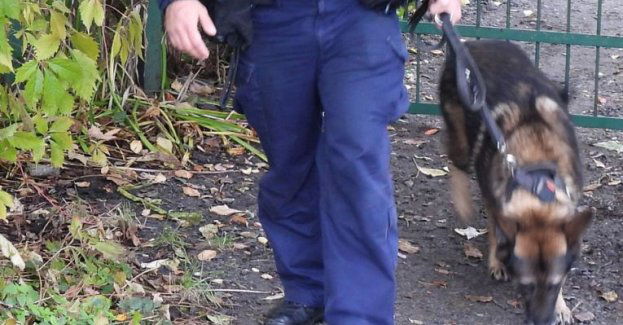 Karzeł i jego przewodnik odnaleźli mężczyznę, którego życie było zagrożone