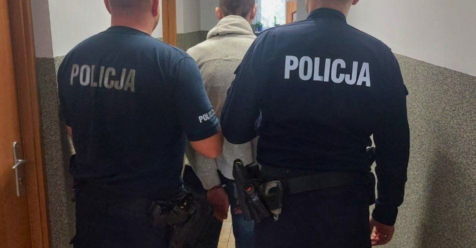 zdjęcie: Mężczyzna zatrzymany po serii kradzieży w Pawłowicach / fot. KPP w Pszczynie