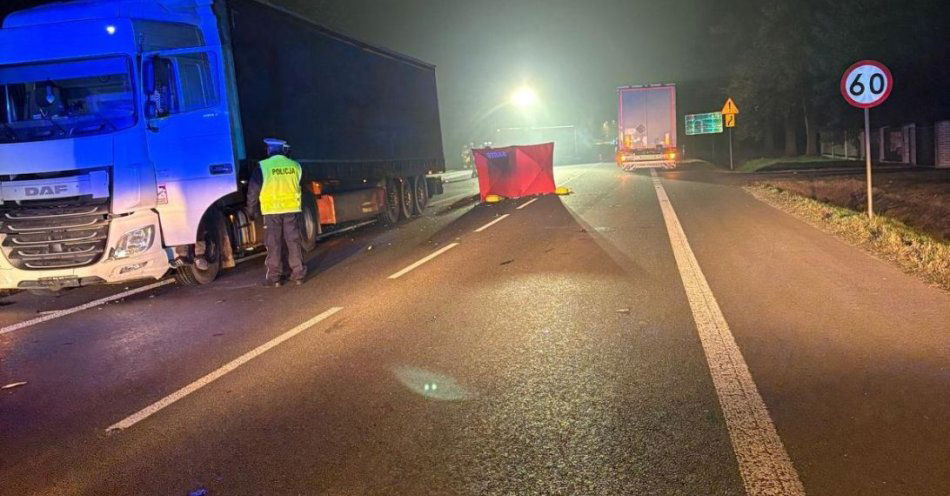 zdjęcie: Tragiczny wypadek na drodze krajowej 12 w Struży Kolonii / fot. KPP Świdnik