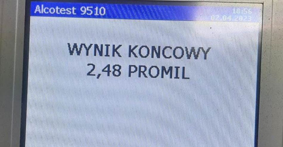 zdjęcie: Nietrzeźwy kierowca Opla cofając uszkodził ogrodzenie posesji w Słącznie / fot. KPP w Miliczu