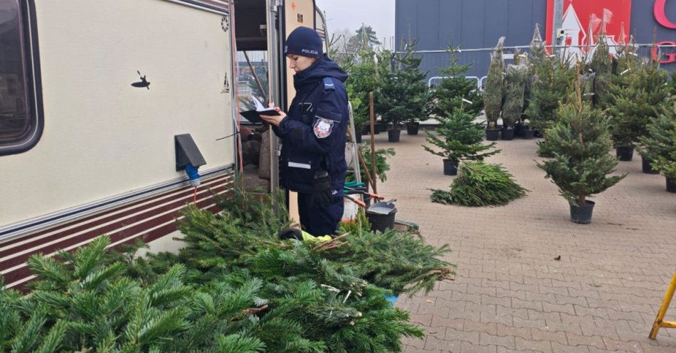 zdjęcie: Policja kontroluje sprzedaż choinek w Grudziądzu / fot. KMP w Grudziądzu