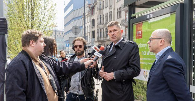 Nowy zielony przystanek w centrum Katowic