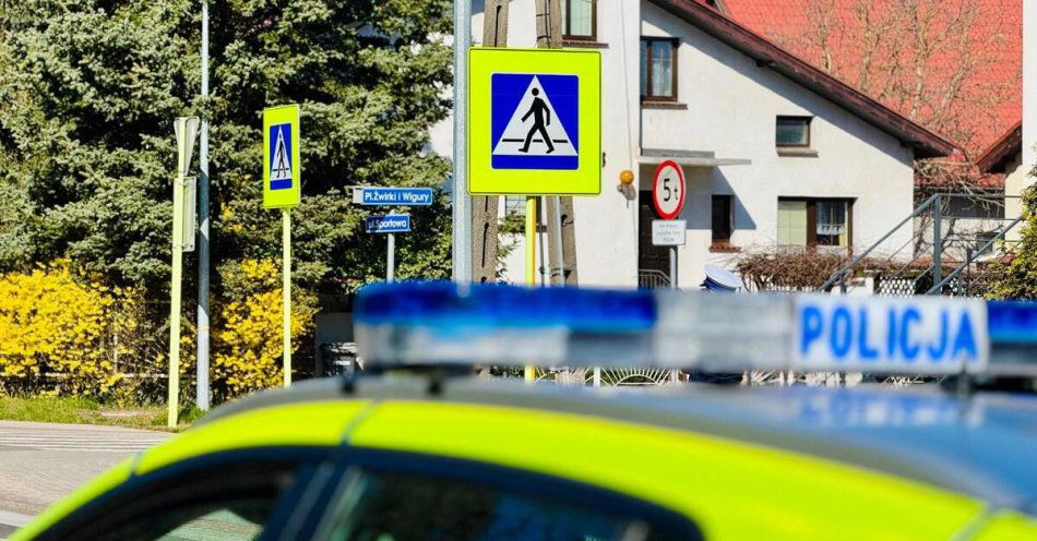 zdjęcie: Akcja Pieszy w Lubuskiem Policja zaostrza kontrole / fot. KPP Żary