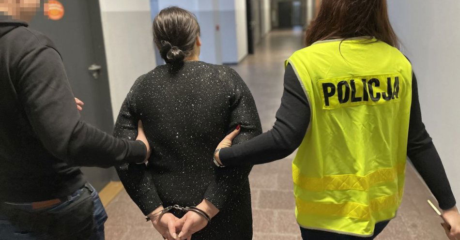 zdjęcie: Tymczasowe areszty za wyłudzenie dotacji unijnych / fot. KMP Lublin